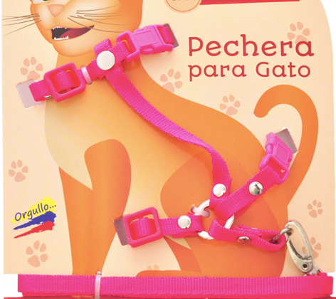 Correa Collar Gato Paseo