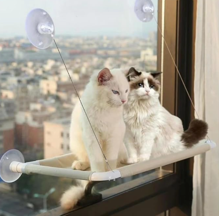 Cama Colgante Hamaca Gato