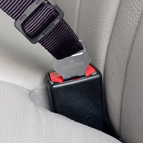 Cinturón de Seguridad Resorte