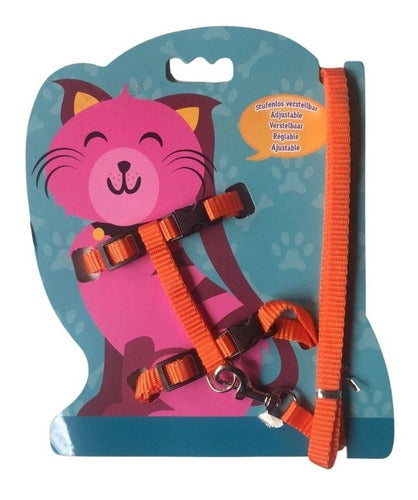 Correa Collar Gato Paseo
