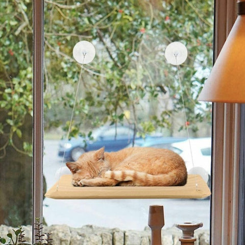 Cama Colgante Hamaca Gato