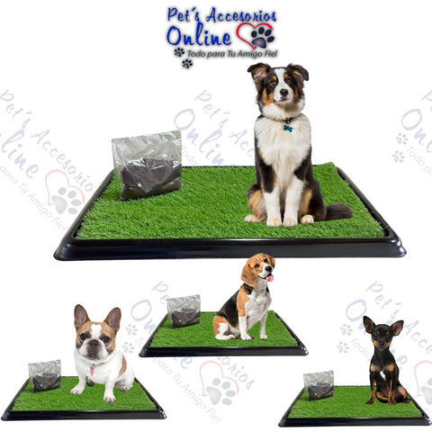 Tapete Sanitario Perro