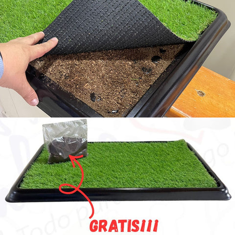 Tapete Sanitario Perro