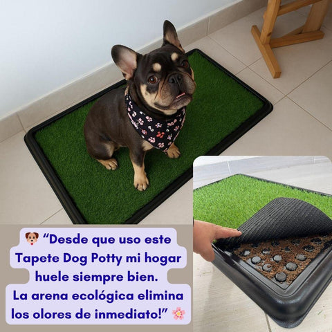 Tapete Sanitario Dog Potty