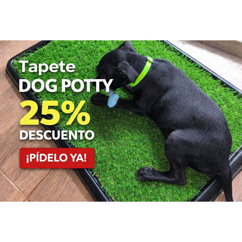 Tapete Sanitario Dog Potty
