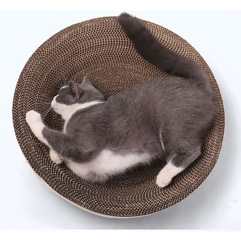 Rascador Circular Gato
